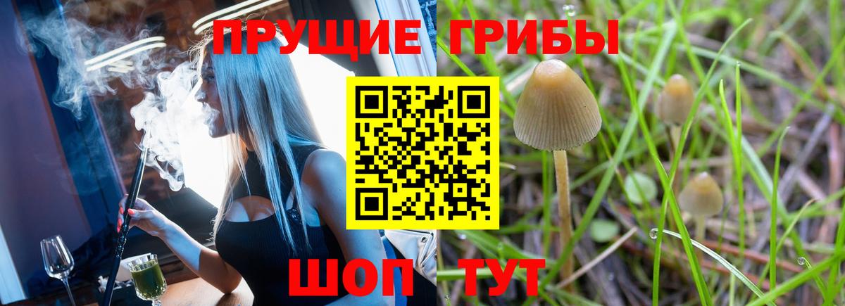 Псилоцибиновые грибы Cubensis Белово