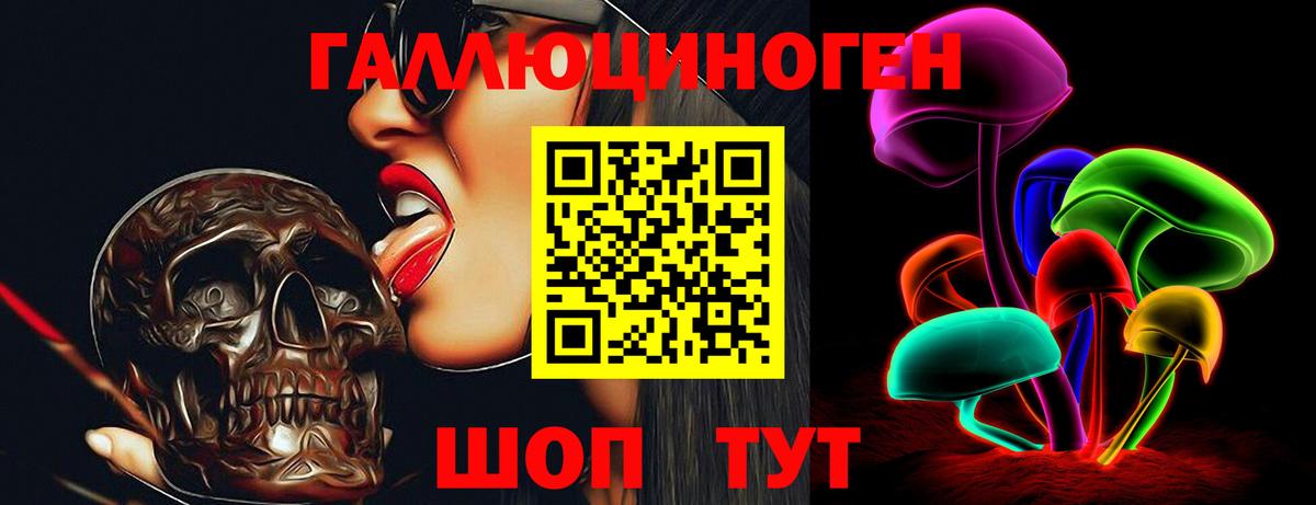 Белово  Галлюциногенные грибы Psilocybine cubensis  Вход с VPN 